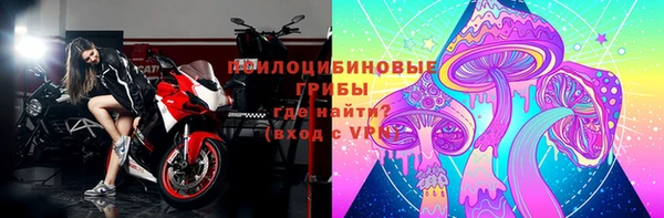 бошки Краснослободск