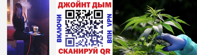 Бошки марихуана OG Kush Сухиничи